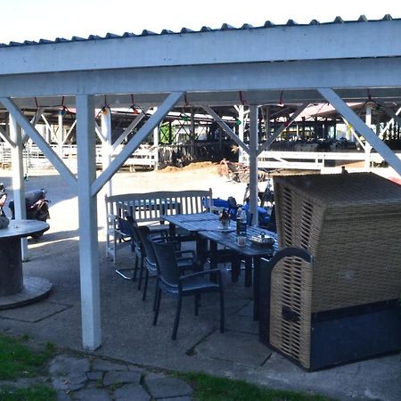 Farm Stay Hof Auf Der Wurp Harrierwurp エクステリア 写真