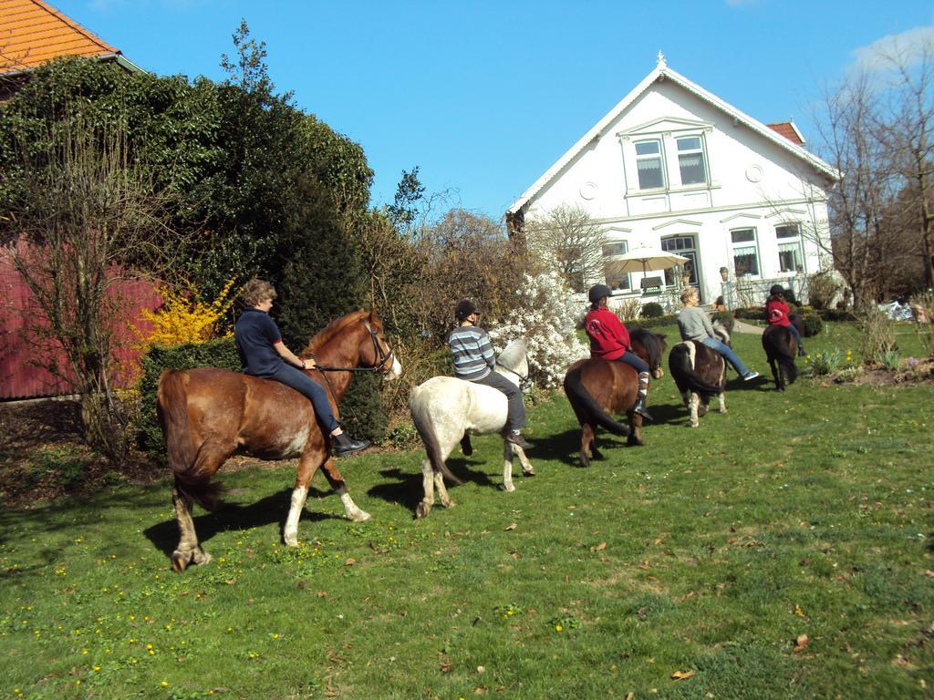 Farm Stay Hof Auf Der Wurp Harrierwurp エクステリア 写真